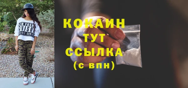 бошки Новодвинск