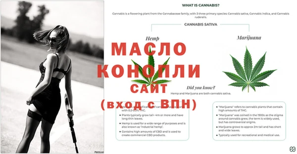 бошки Новодвинск