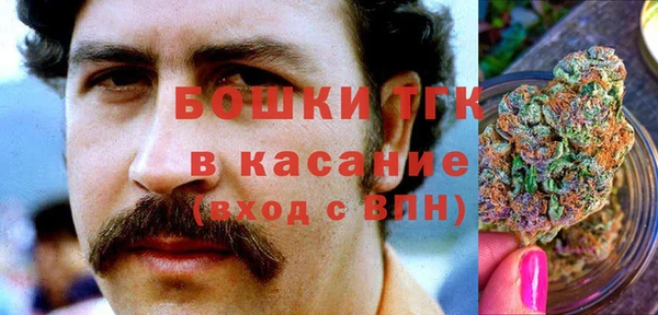 spice Новозыбков