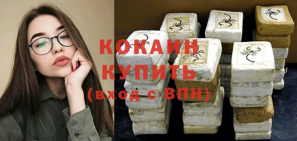стафф Новокубанск
