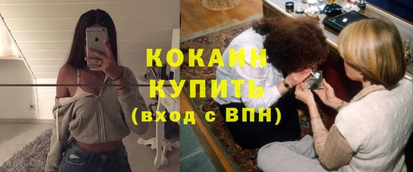 бошки Новодвинск