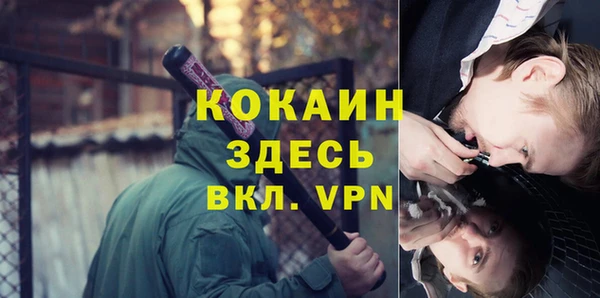 стафф Новокубанск
