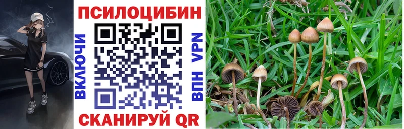 Галлюциногенные грибы MAGIC MUSHROOMS  гидра зеркало  Обоянь  где найти  